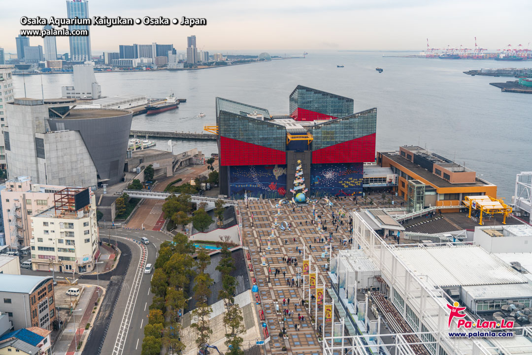 Osaka Aquarium Kaiyukan